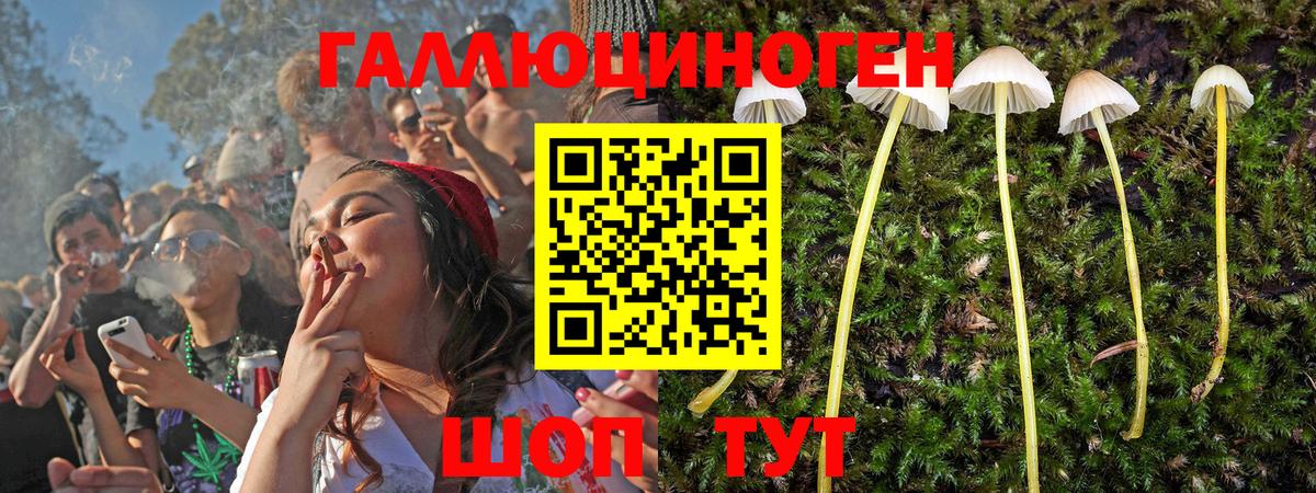 Псилоцибиновые грибы ЛСД Учалы